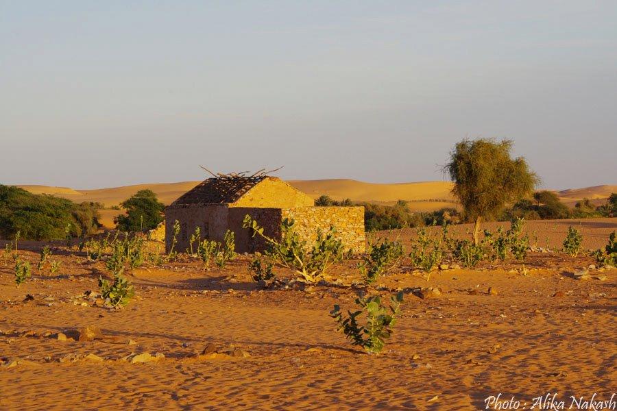 Au pays des princes 8
