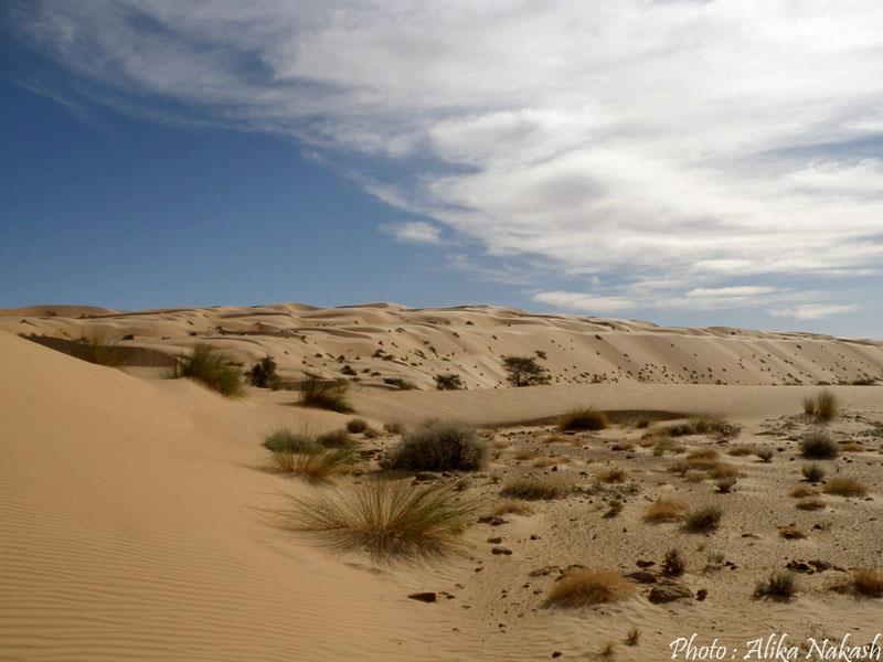 Au pays des princes 9