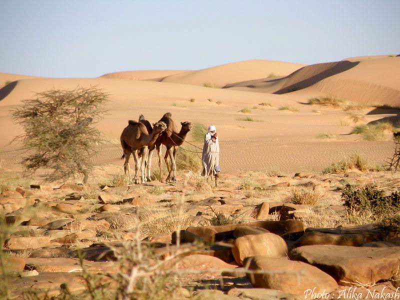 Au pays des princes 14