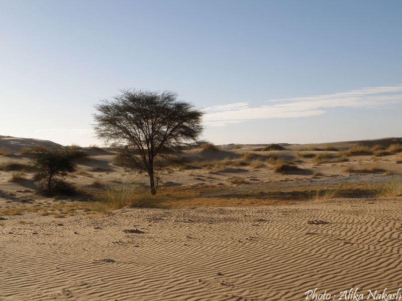 Au pays des princes 17