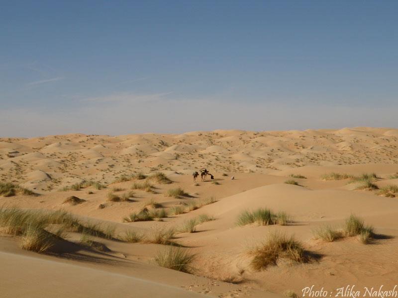 Au pays des princes 18