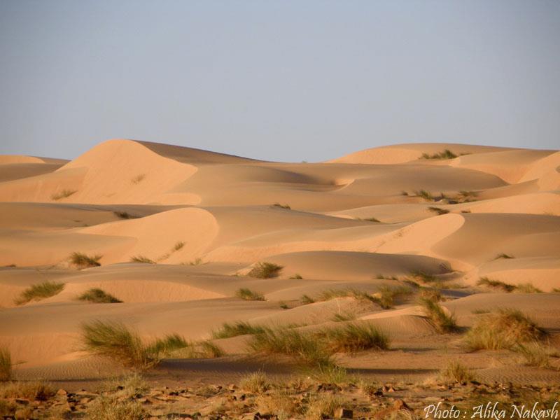 Au pays des princes 22