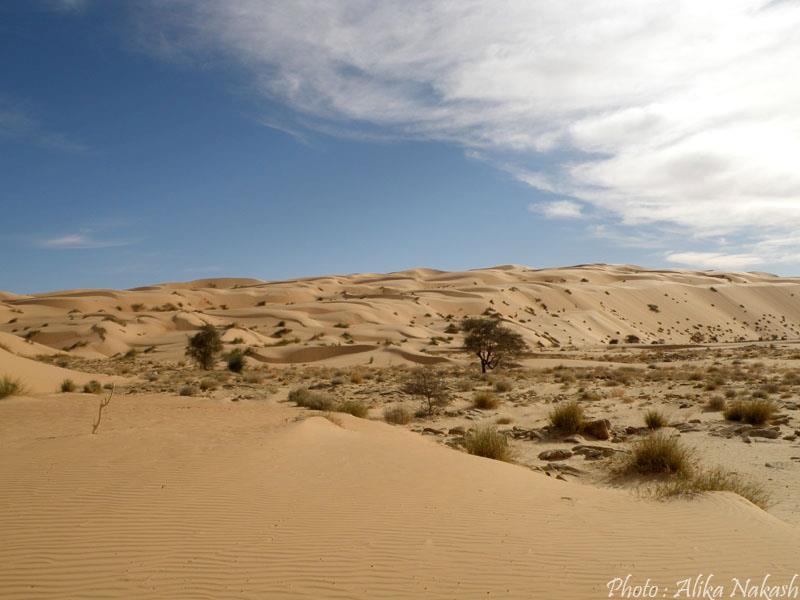 Au pays des princes 24