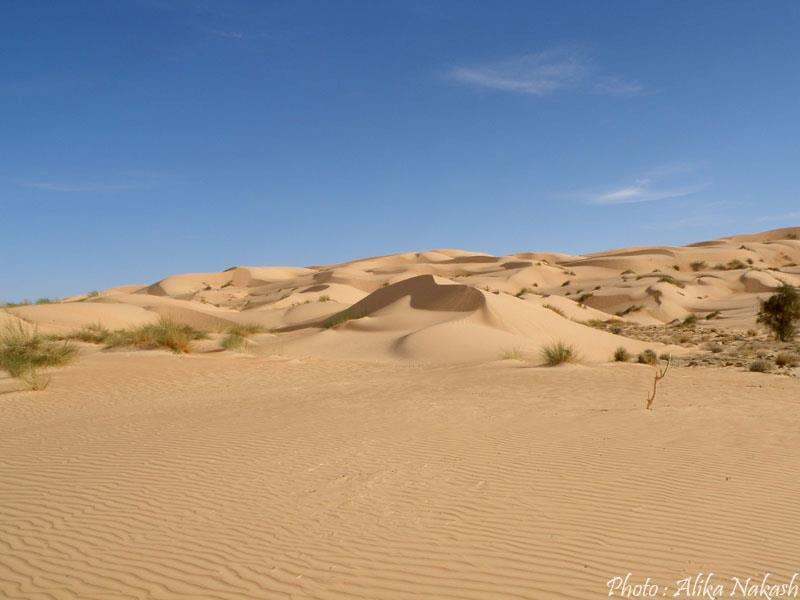 Au pays des princes 26