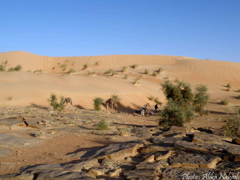 Au pays des princes 27