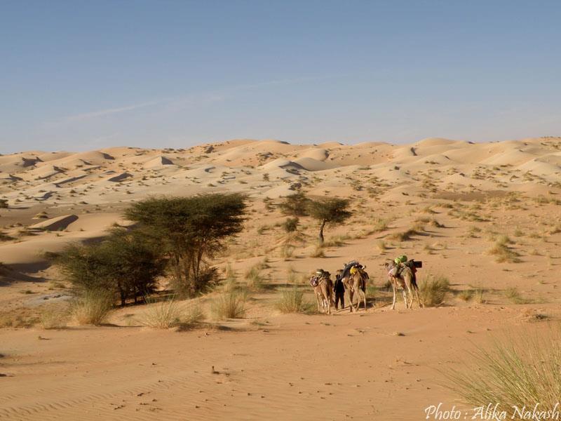 Au pays des princes 29