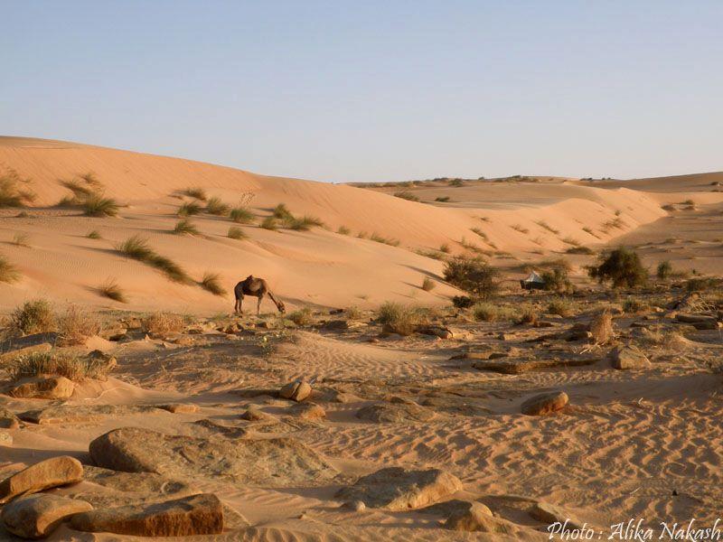 Au pays des princes 30