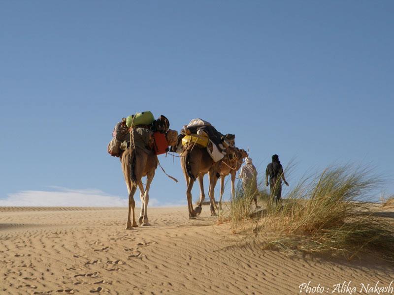 Au pays des princes 31