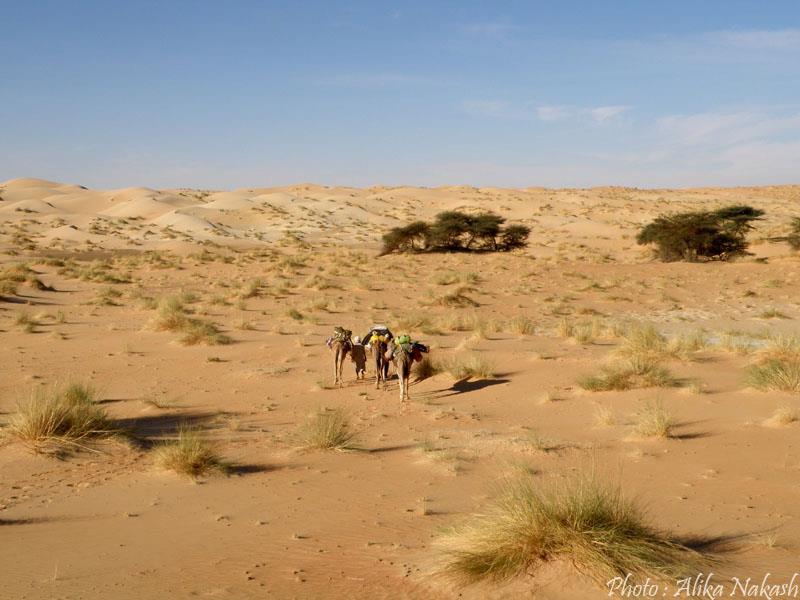 Au pays des princes 32