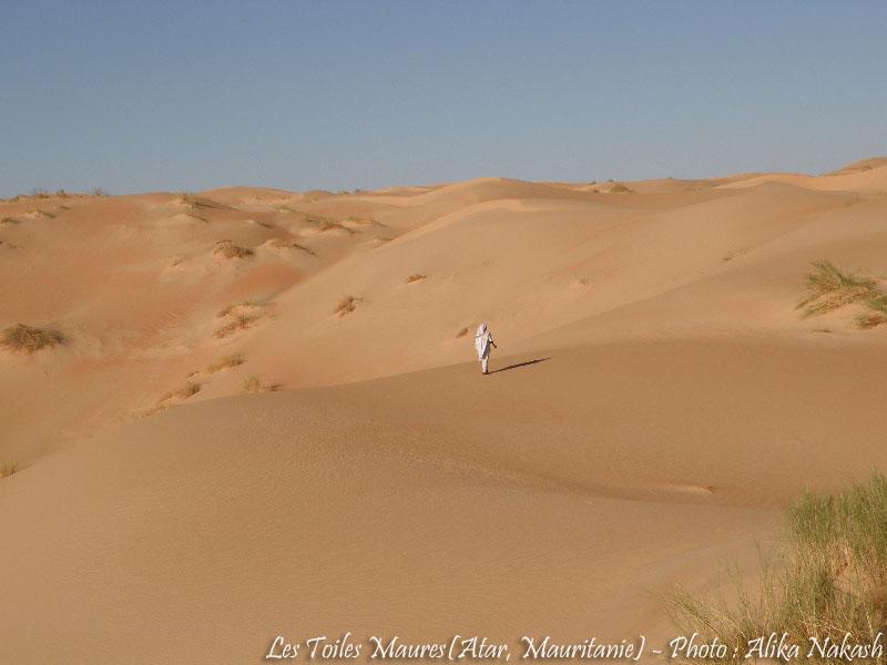 Au printemps chantaient les dunes 3