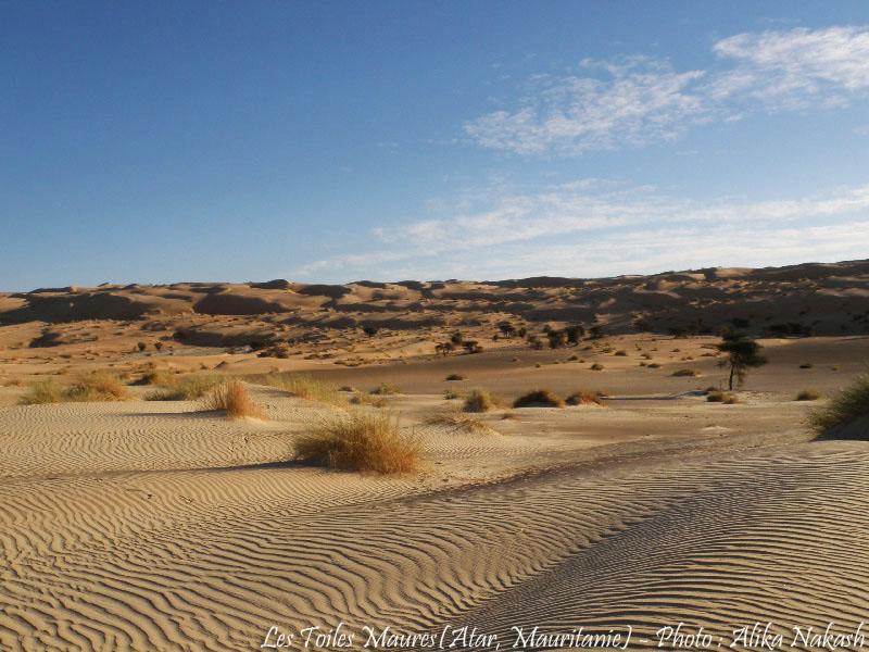 Au printemps chantaient les dunes 8