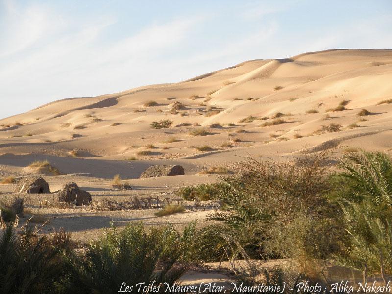 Au printemps chantaient les dunes 11
