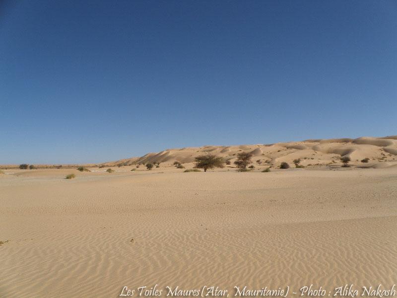 Au printemps chantaient les dunes 12