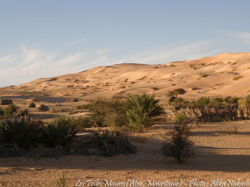 Au printemps chantaient les dunes 13
