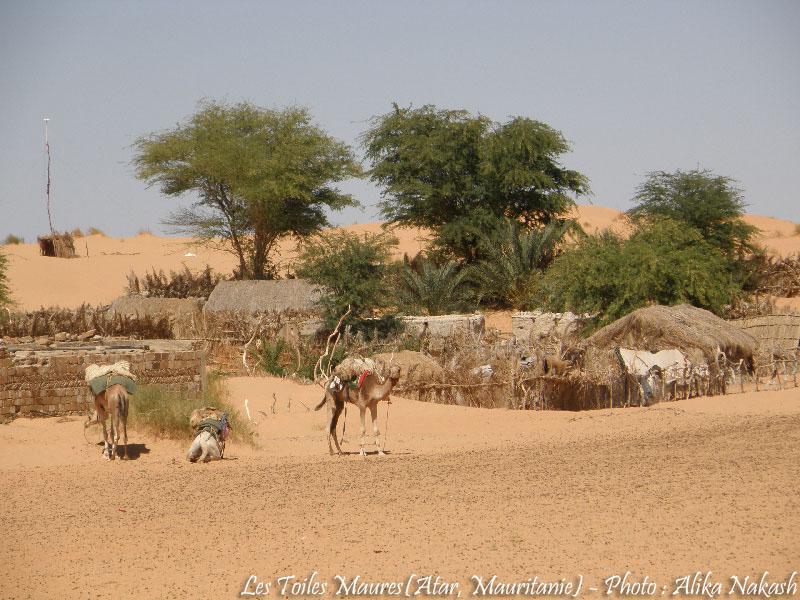 Au printemps chantaient les dunes 16