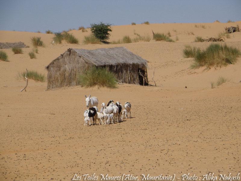 Au printemps chantaient les dunes 18