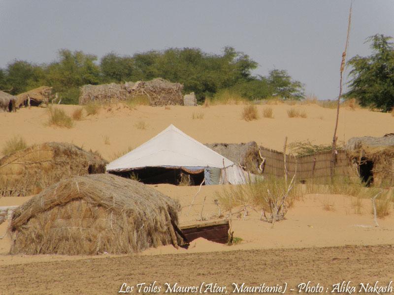 Au printemps chantaient les dunes 20
