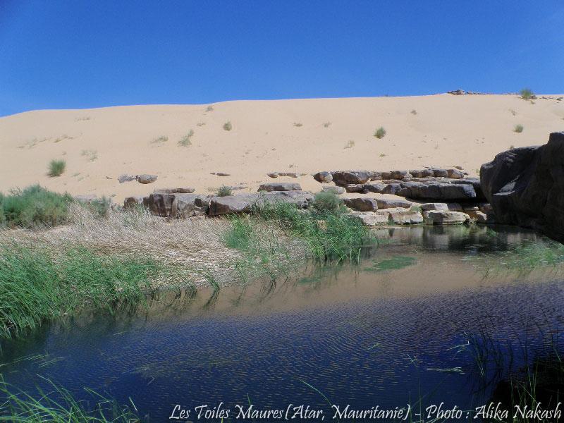 Au printemps chantaient les dunes 21