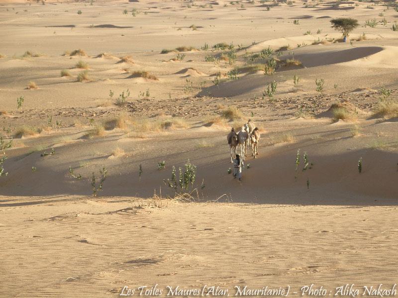 Au printemps chantaient les dunes 23