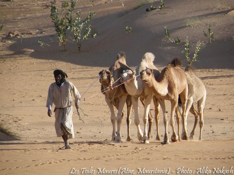 Au printemps chantaient les dunes 24