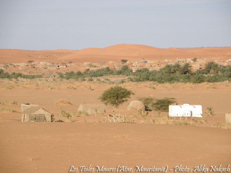 Au printemps chantaient les dunes 25