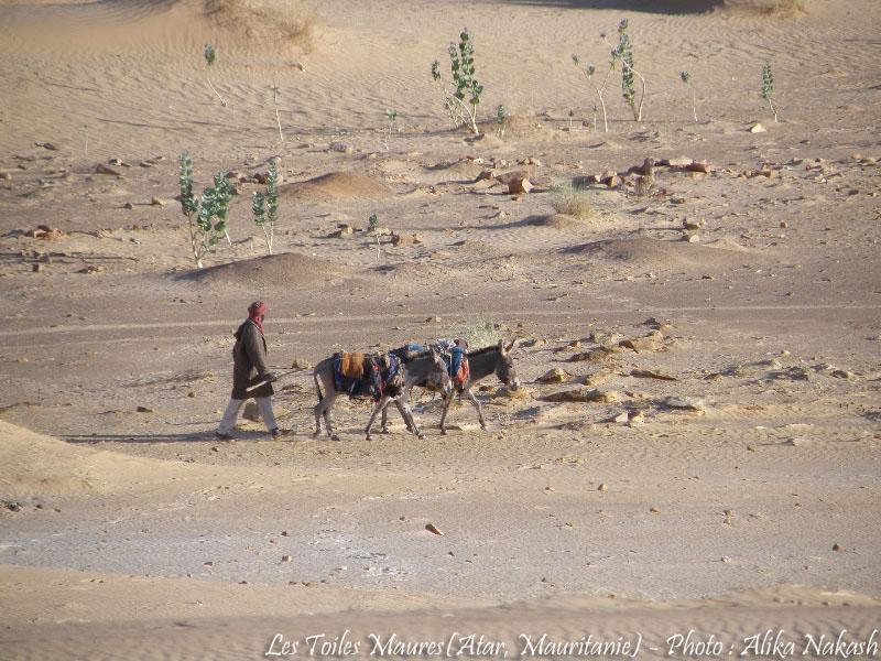 Au printemps chantaient les dunes 26