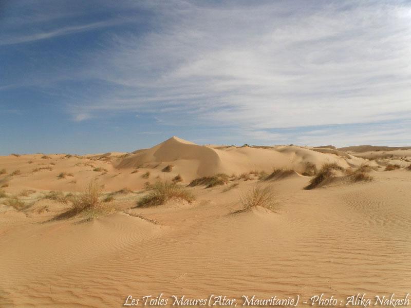 Au printemps chantaient les dunes 27