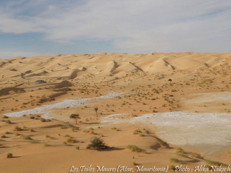 Au printemps chantaient les dunes 30