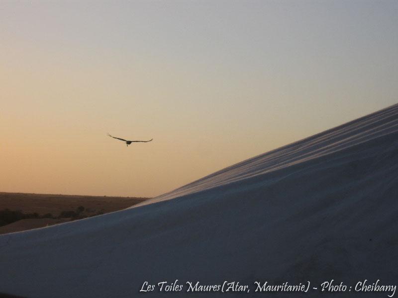 Au printemps chantaient les dunes 32