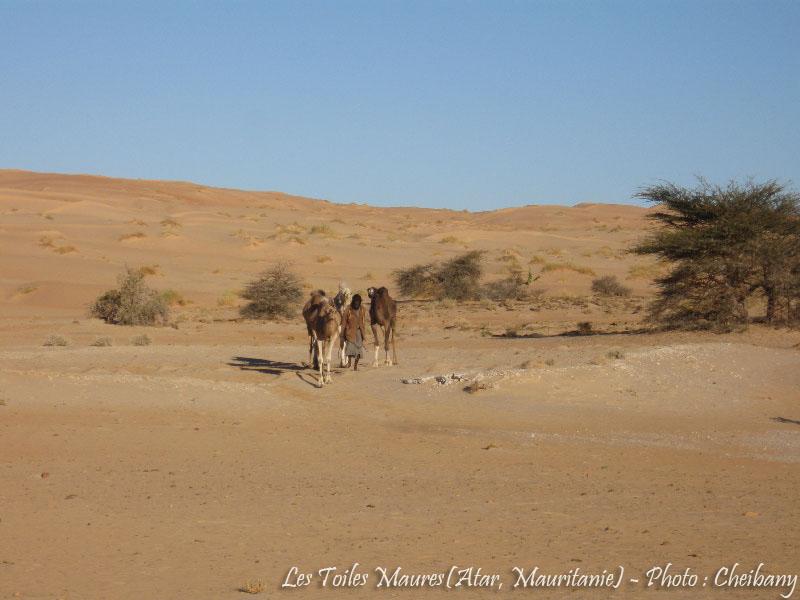 Au printemps chantaient les dunes 33