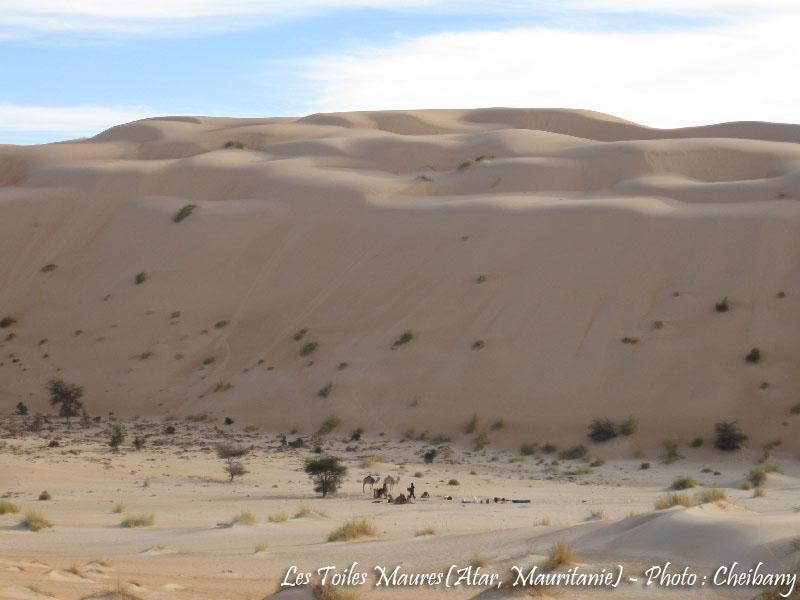 Au printemps chantaient les dunes 39