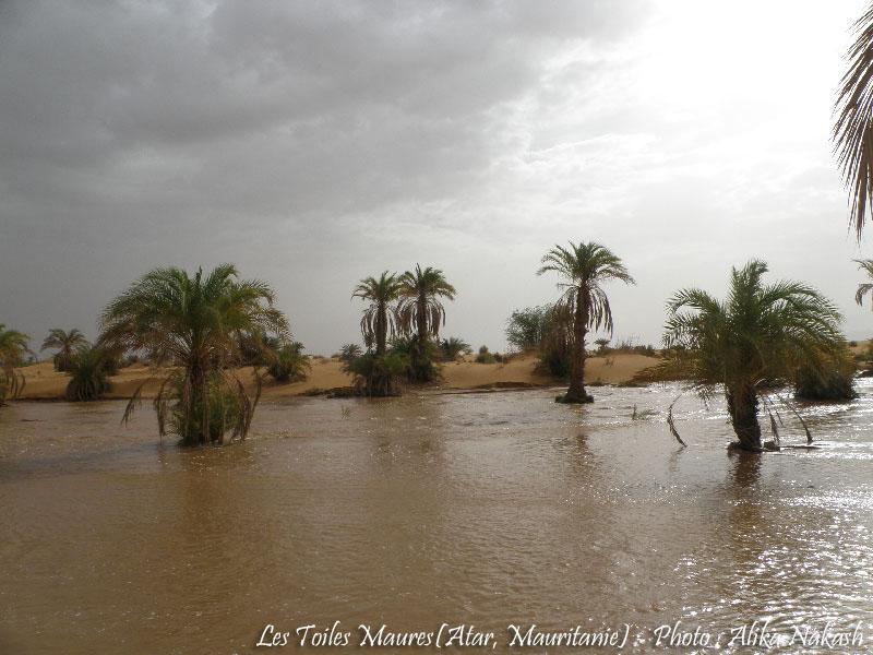 L'oued a coulé ce matin 4