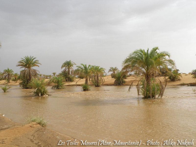 L'oued a coulé ce matin 6