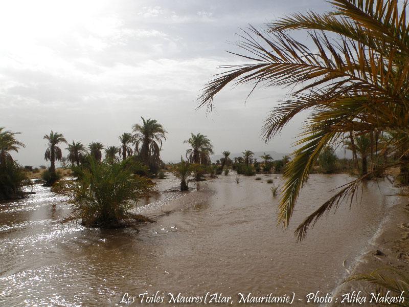 L'oued a coulé ce matin 8
