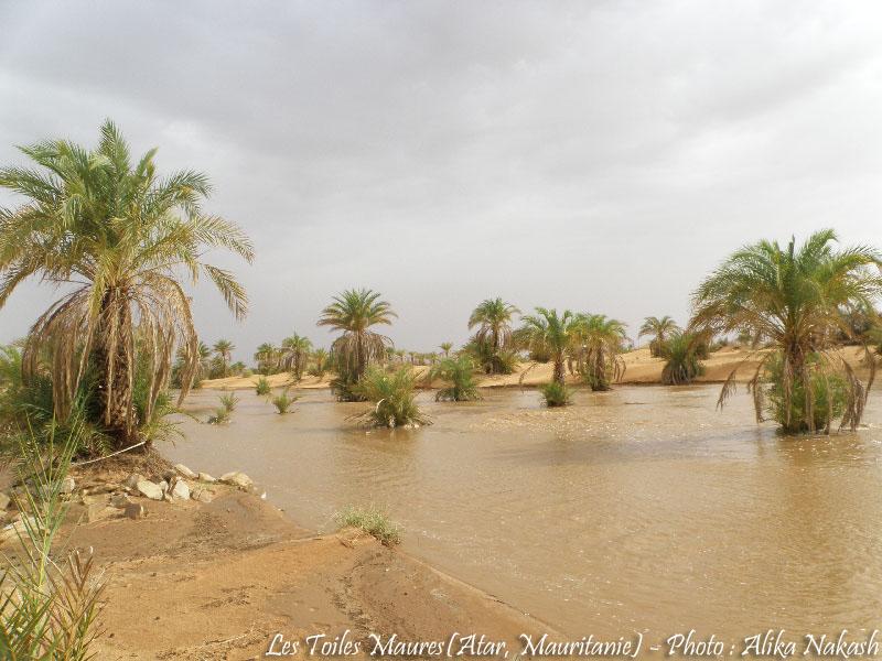 L'oued a coulé ce matin 9