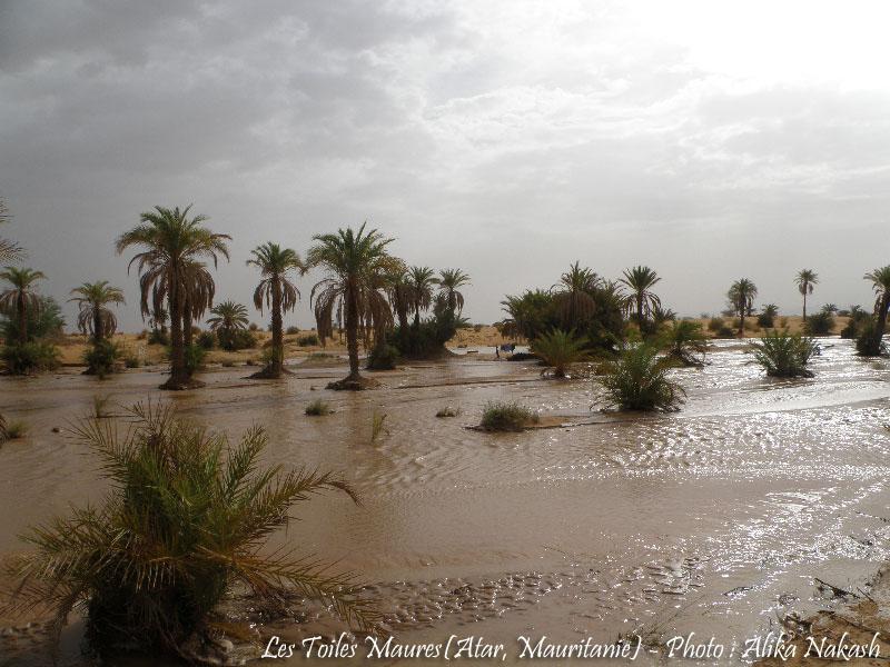 L'oued a coulé ce matin 10