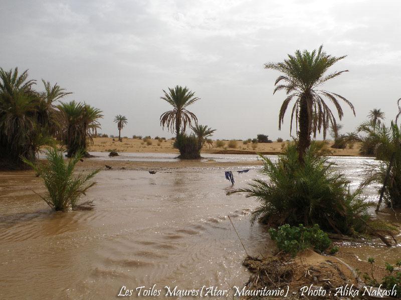 L'oued a coulé ce matin 11