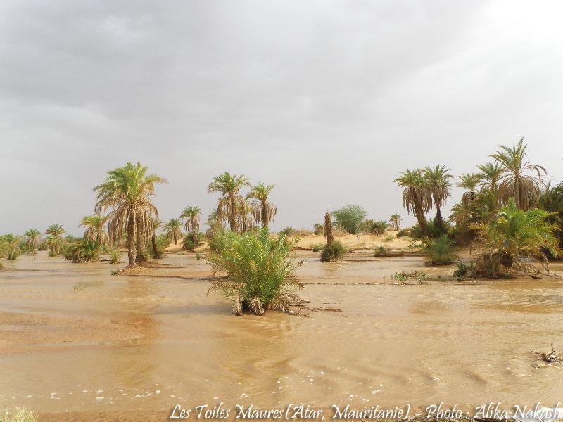 L'oued a coulé ce matin 12