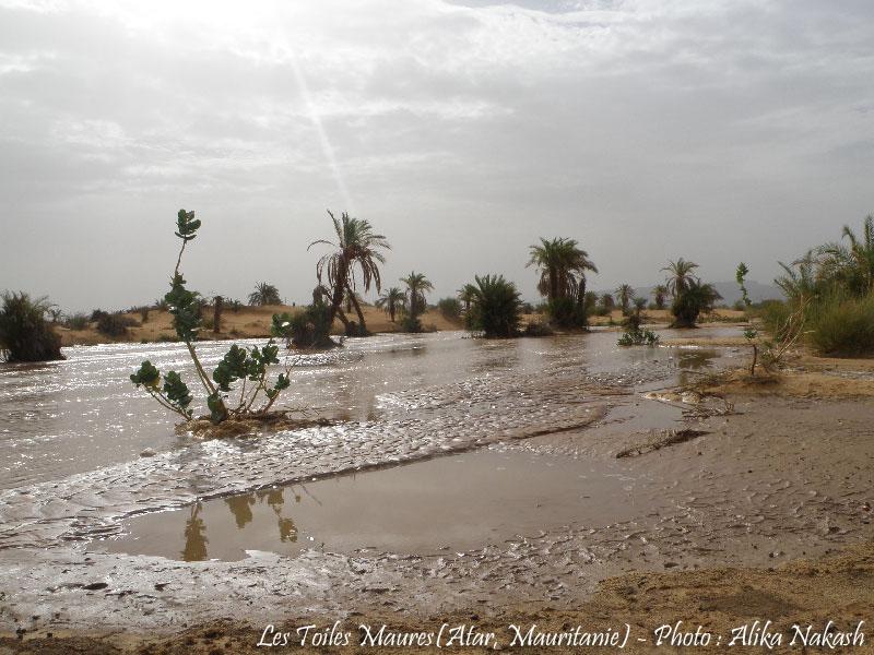 L'oued a coulé ce matin 13