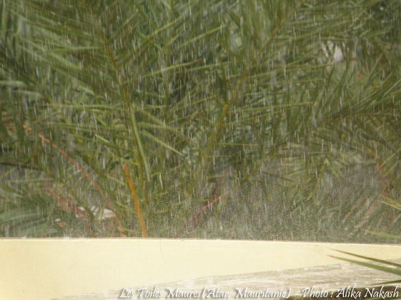 Sous le soleil des perles de pluie 16