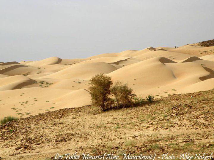 L'Adrar 2
