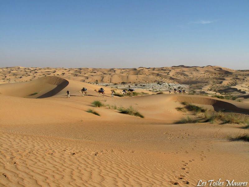 L'Adrar 4