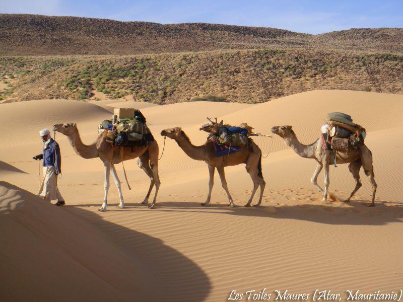 L'Adrar 5
