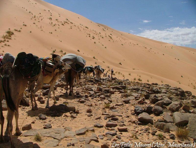 L'Adrar 6