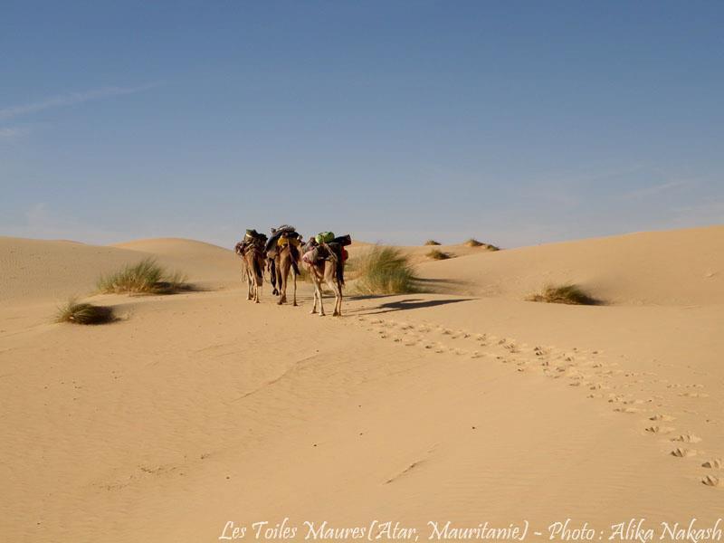 L'Adrar 7