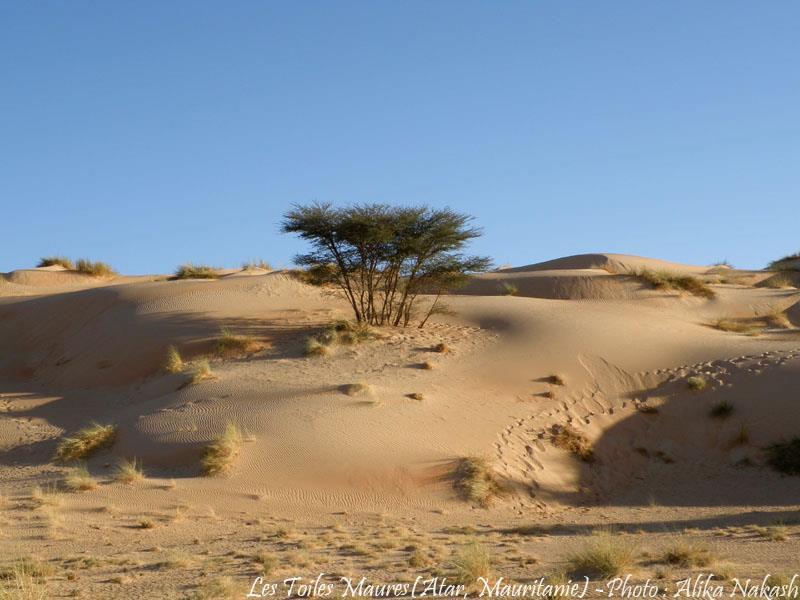 L'Adrar 8