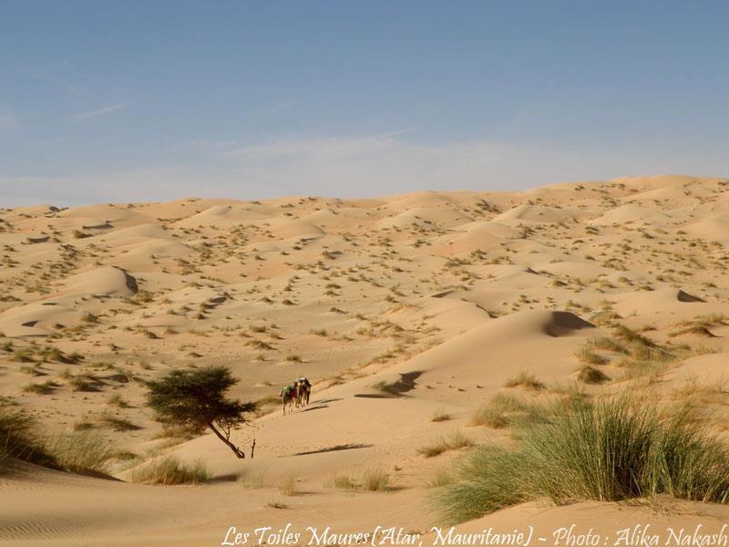 L'Adrar 9