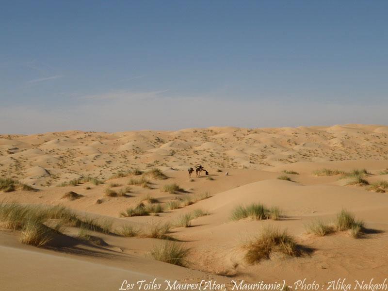 L'Adrar 10