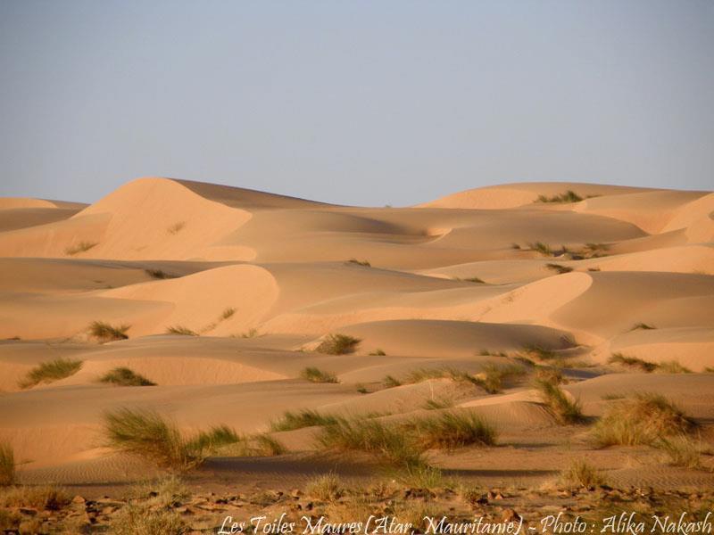 L'Adrar 11