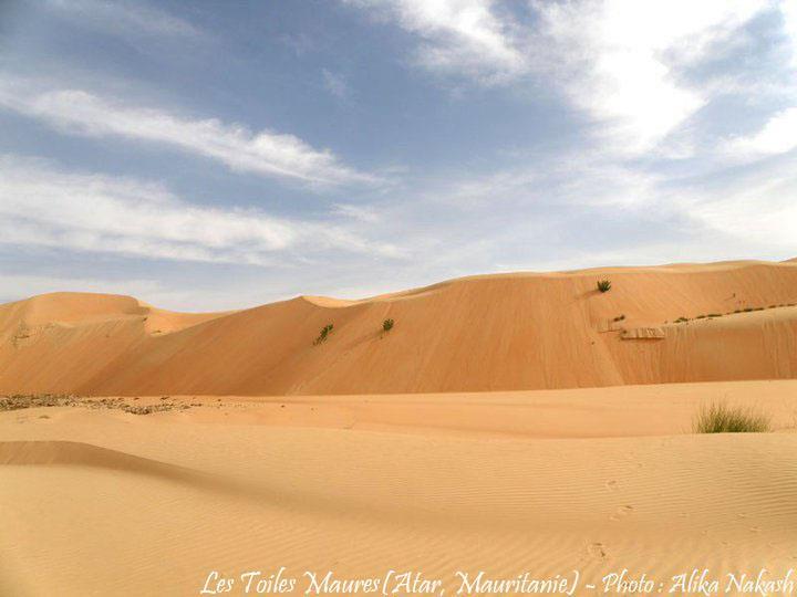 L'Adrar 12